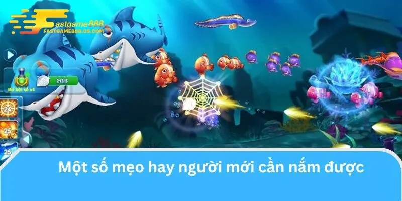 Mẹo chơi Bắn Cá Tiên hiệu quả bạn nên biết